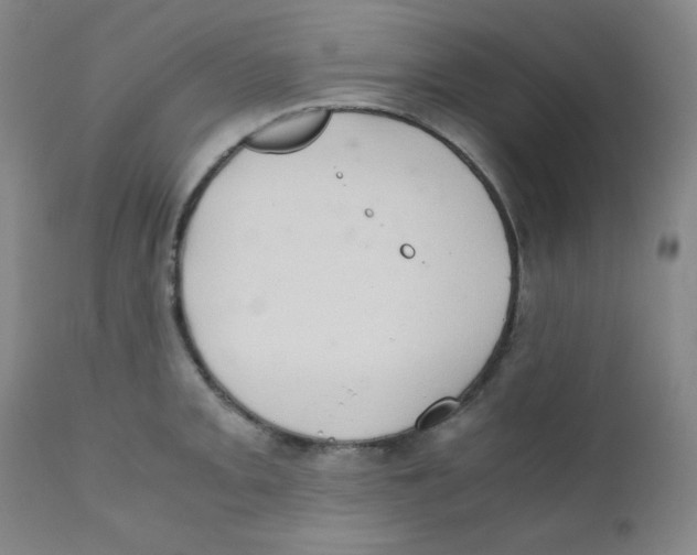 X0000111901093200908240956