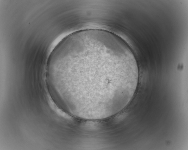 X0000111901094200908240956