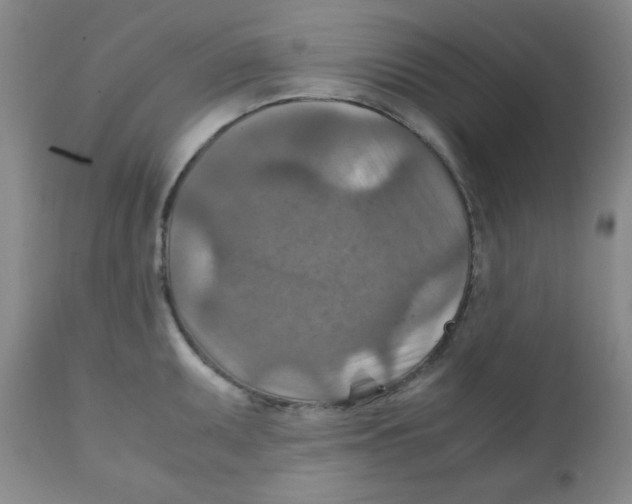 X0000111901095200908240956