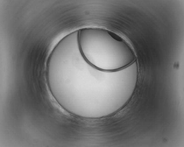 X0000111901096200908240955