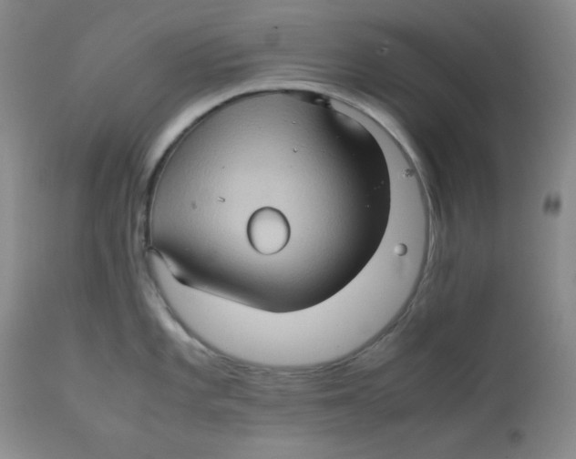 X0000111901101200908240955