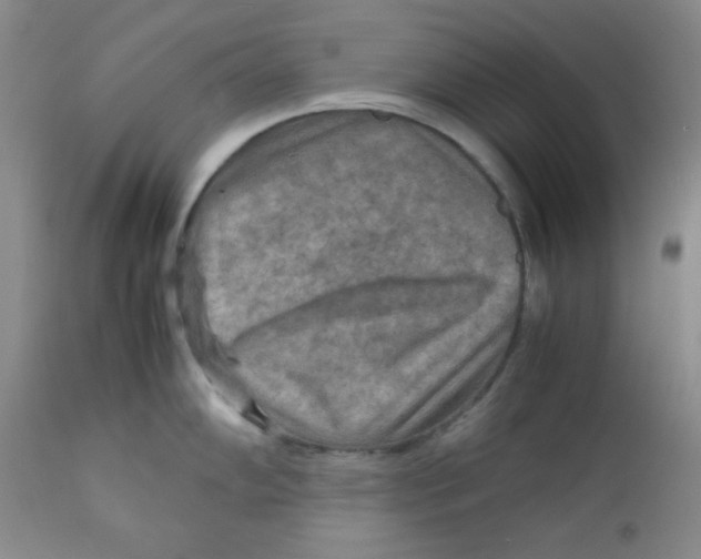 X0000111901102200908240955