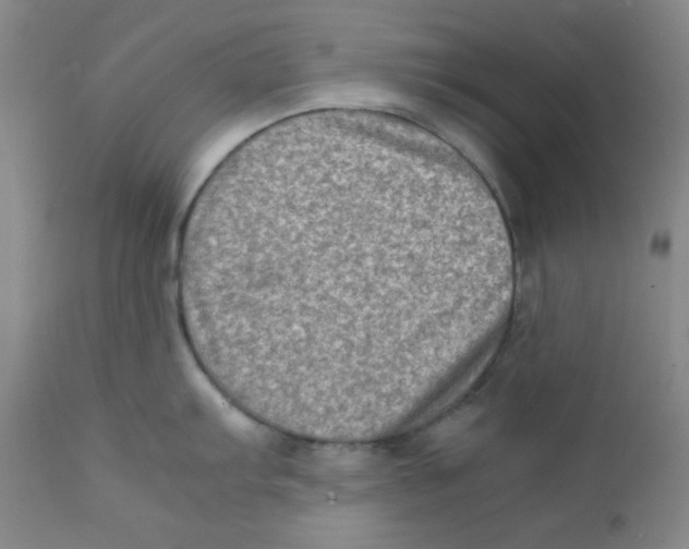 X0000111901103200908240955