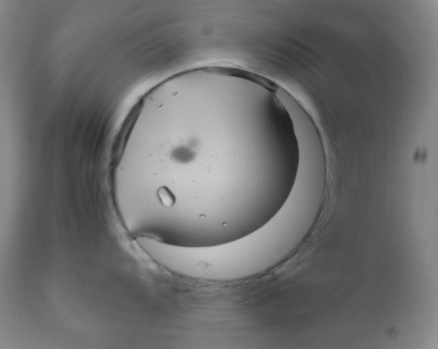 X0000111901104200908240955