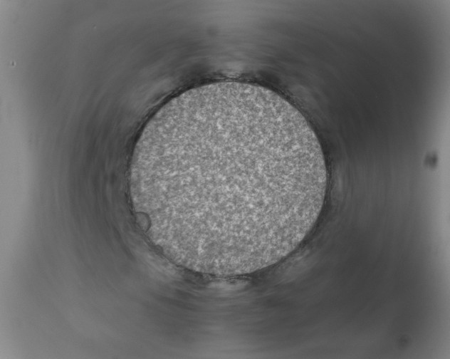 X0000111901105200908240955