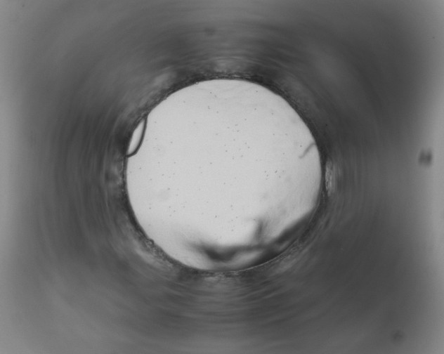 X0000111901107200908240955