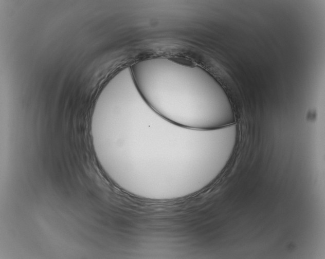 X0000111901108200908240955