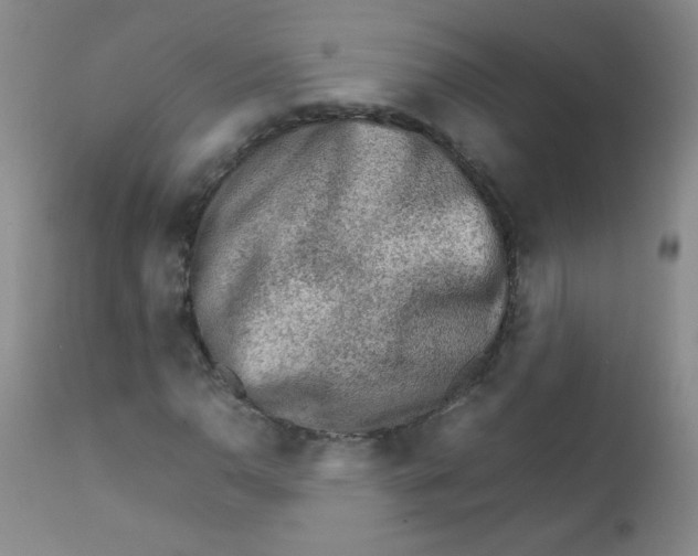 X0000111901110200908240955