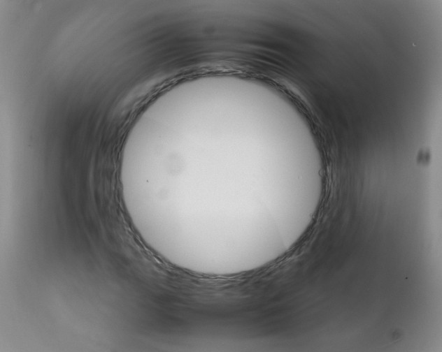 X0000111901111200908240955