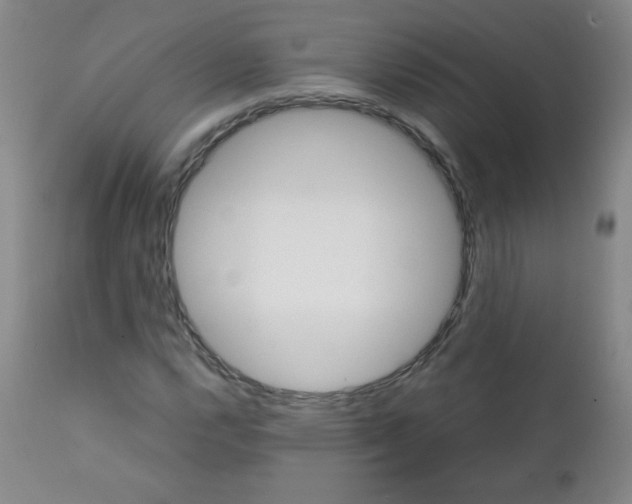 X0000111901112200908240955