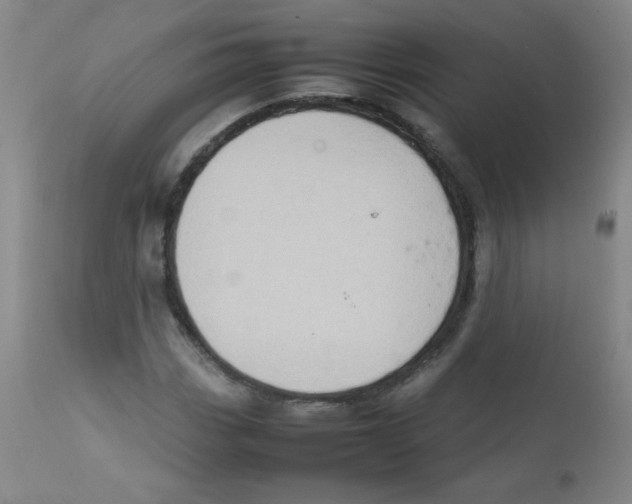 X0000111901113200908240955