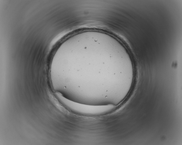 X0000111901114200908240955