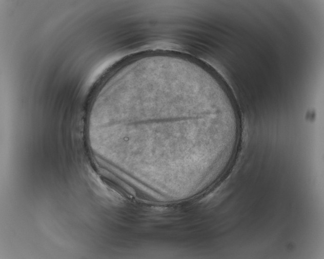 X0000111901115200908240955