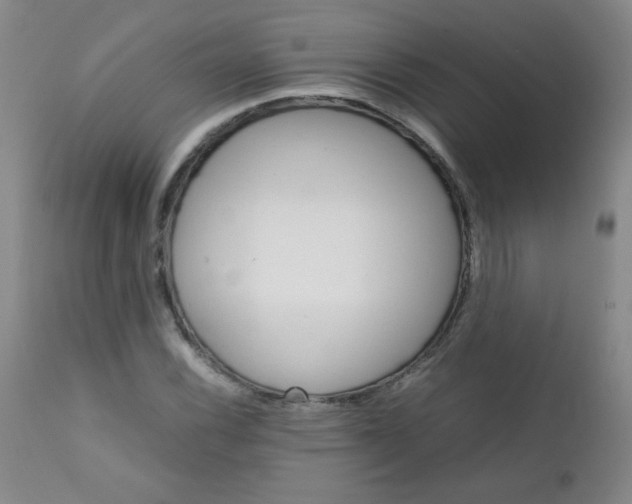 X0000111901116200908240955