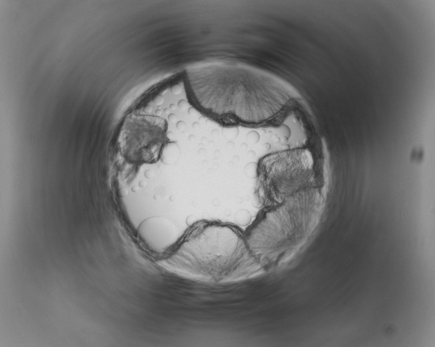 X0000111901117200908240955