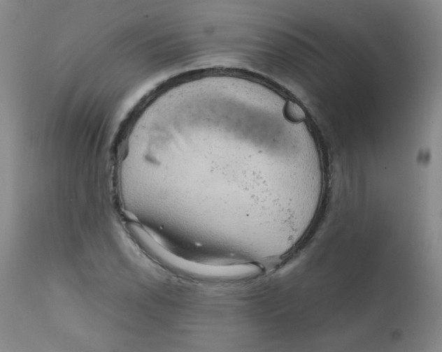 X0000111901118200908240955