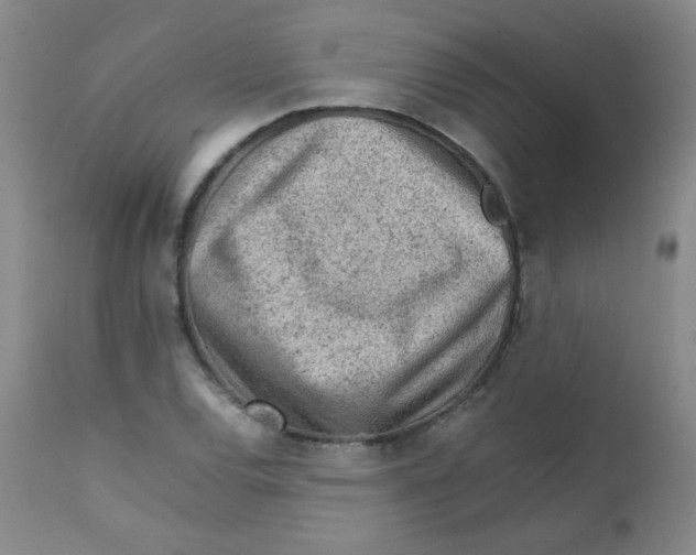 X0000111901120200908240955