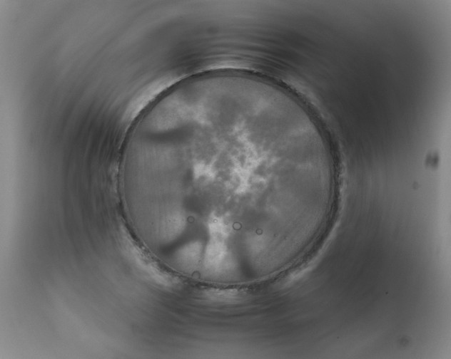 X0000111901121200908240955