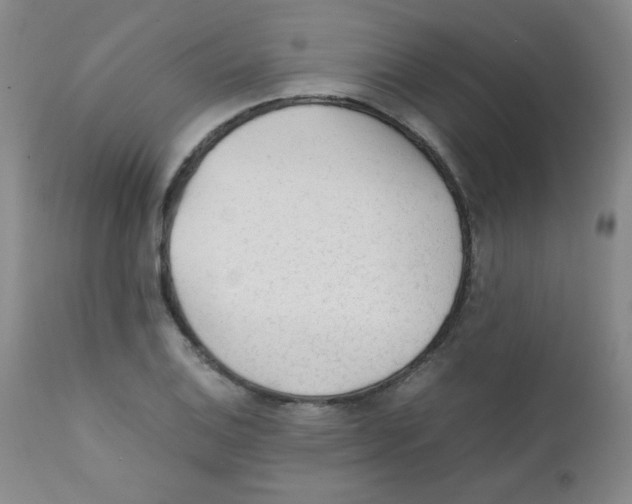 X0000111901124200908240955