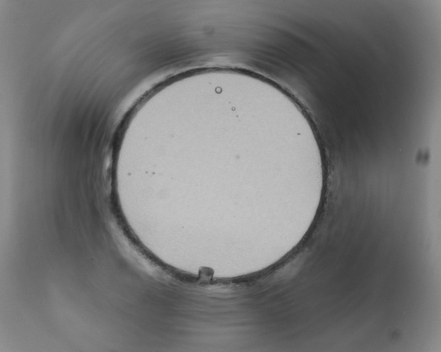 X0000111901126200908240955