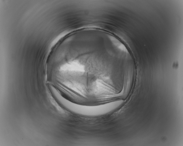 X0000111901127200908240955