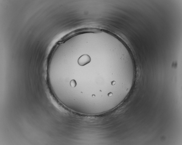 X0000111901128200908240955