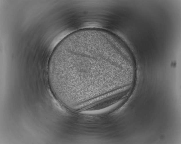 X0000111901129200908240955