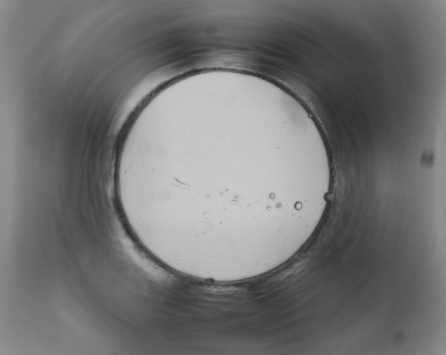 X0000111901131200908240955