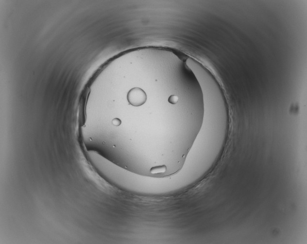 X0000111901132200908240955