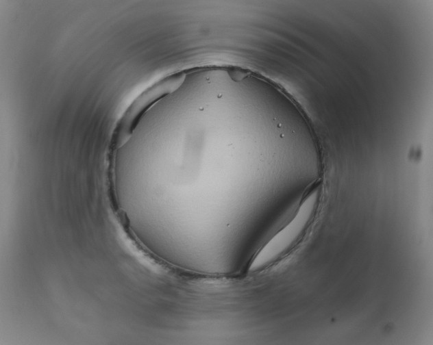 X0000111901134200908240955