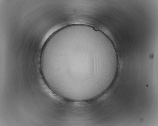 X0000111901138200908240955