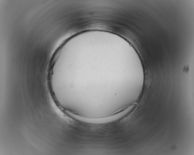 X0000111901139200908240955