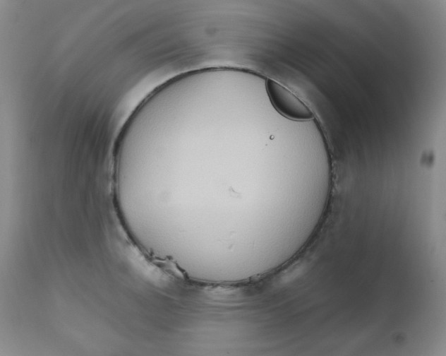 X0000111901140200908240955