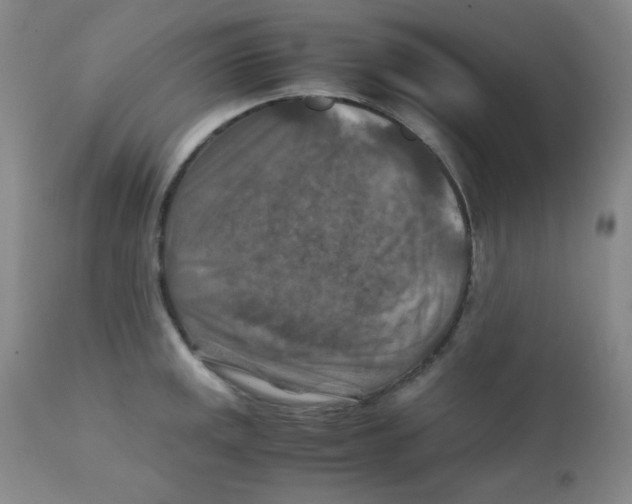 X0000111901141200908240955