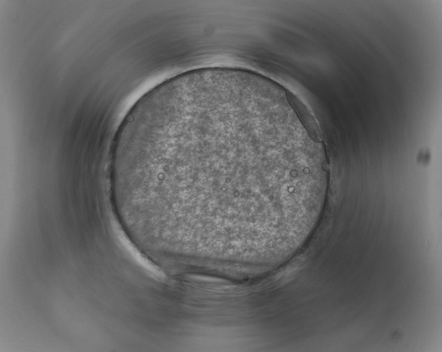 X0000111901142200908240955