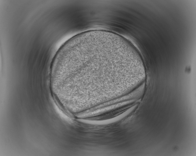 X0000111901143200908240955