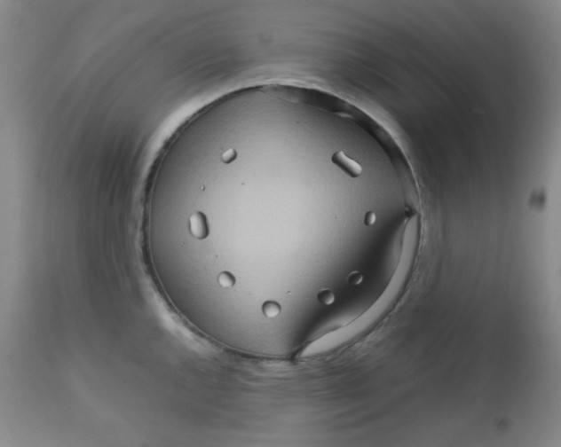 X0000111901144200908240955