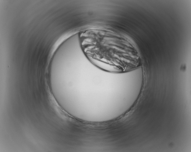 X0000111901146200908240955