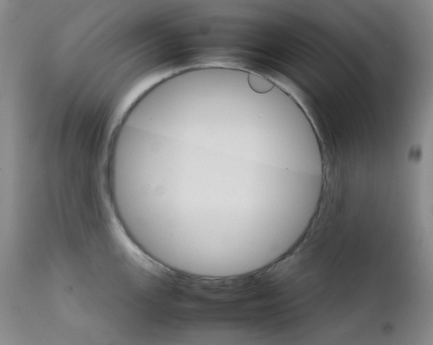 X0000111901147200908240955