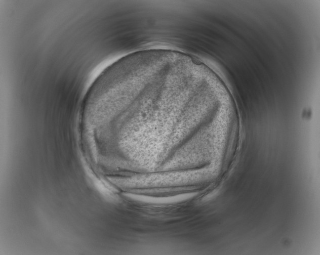 X0000111901149200908240955