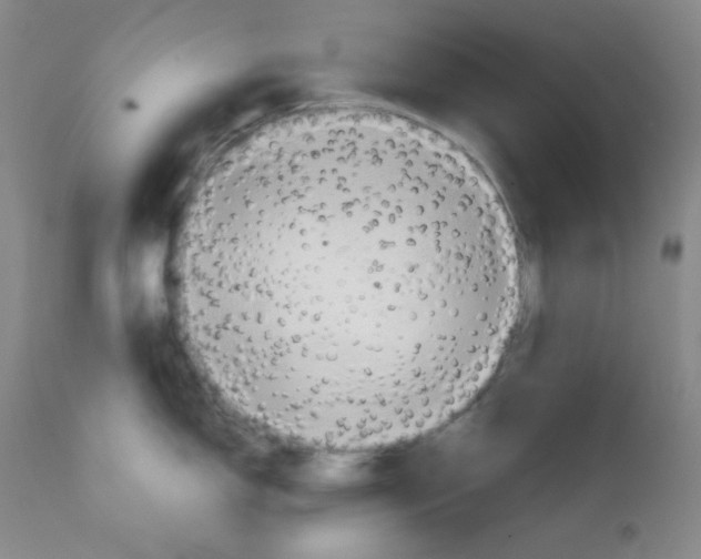 X0000111901150200908240955