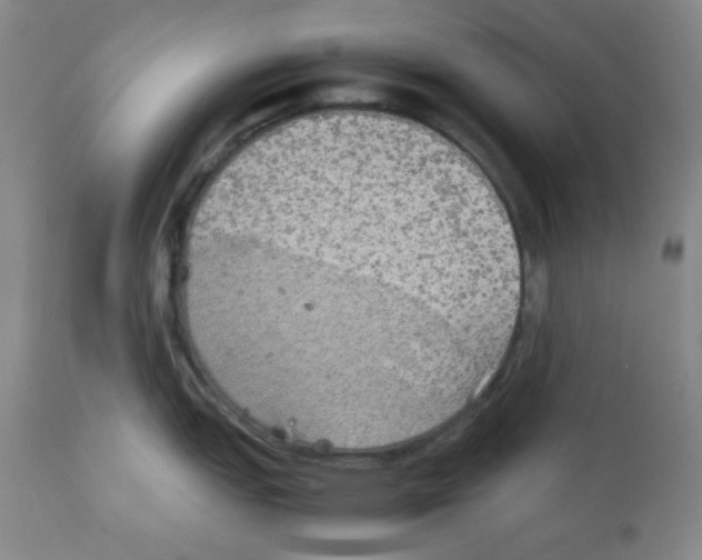 X0000111901151200908240955