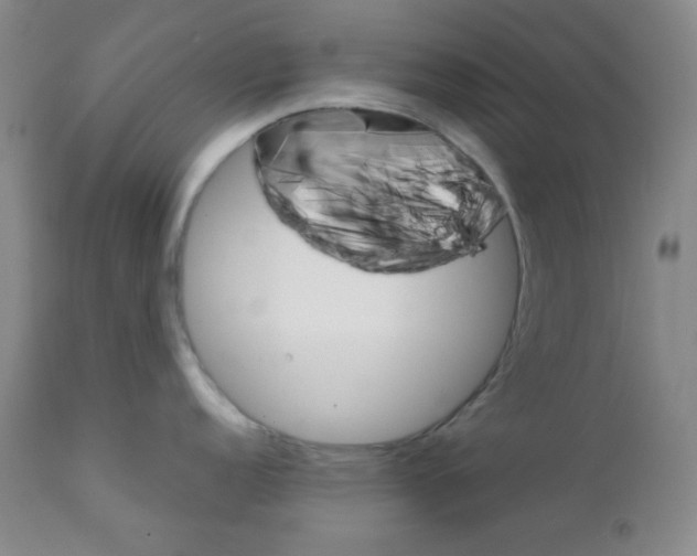 X0000111901152200908240955