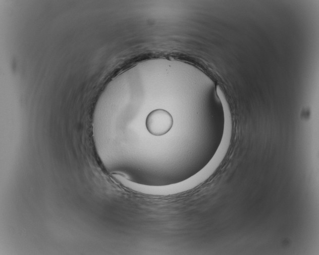 X0000111901153200908240955