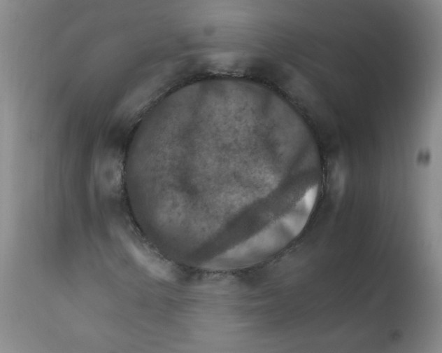 X0000111901154200908240955