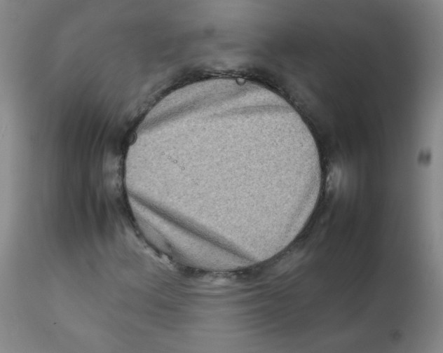 X0000111901156200908240954