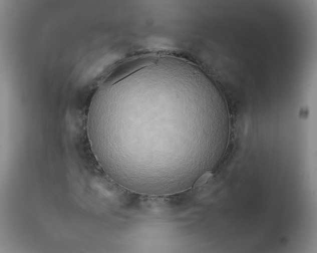 X0000111901157200908240954