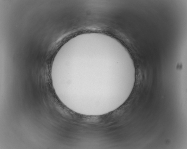 X0000111901158200908240954