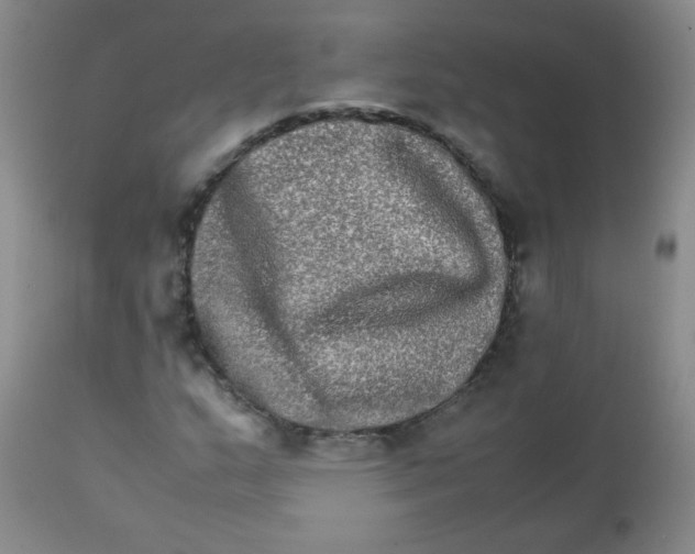 X0000111901159200908240954