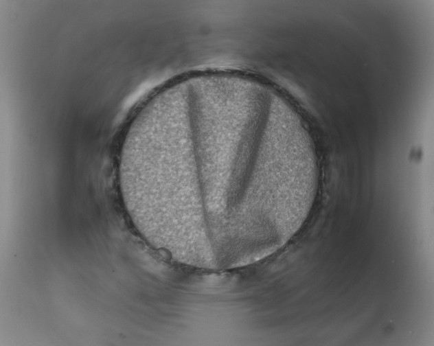 X0000111901160200908240954